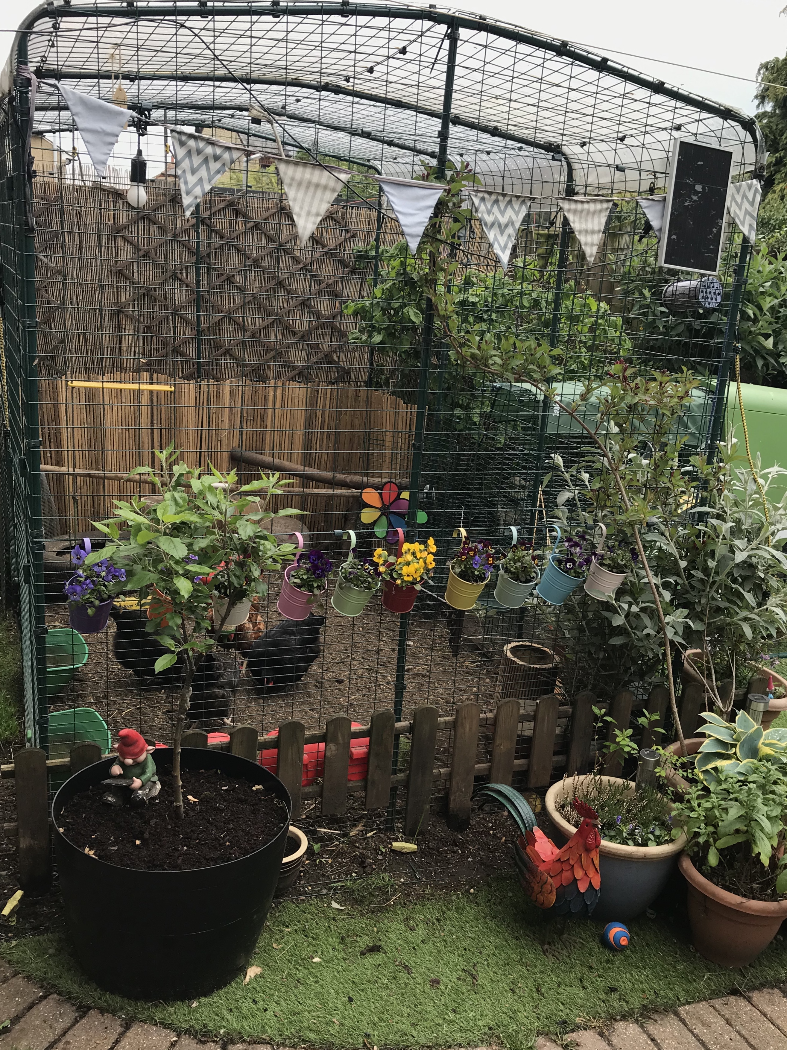 Walk in Chicken Run Large Outdoor Chicken Enclosure