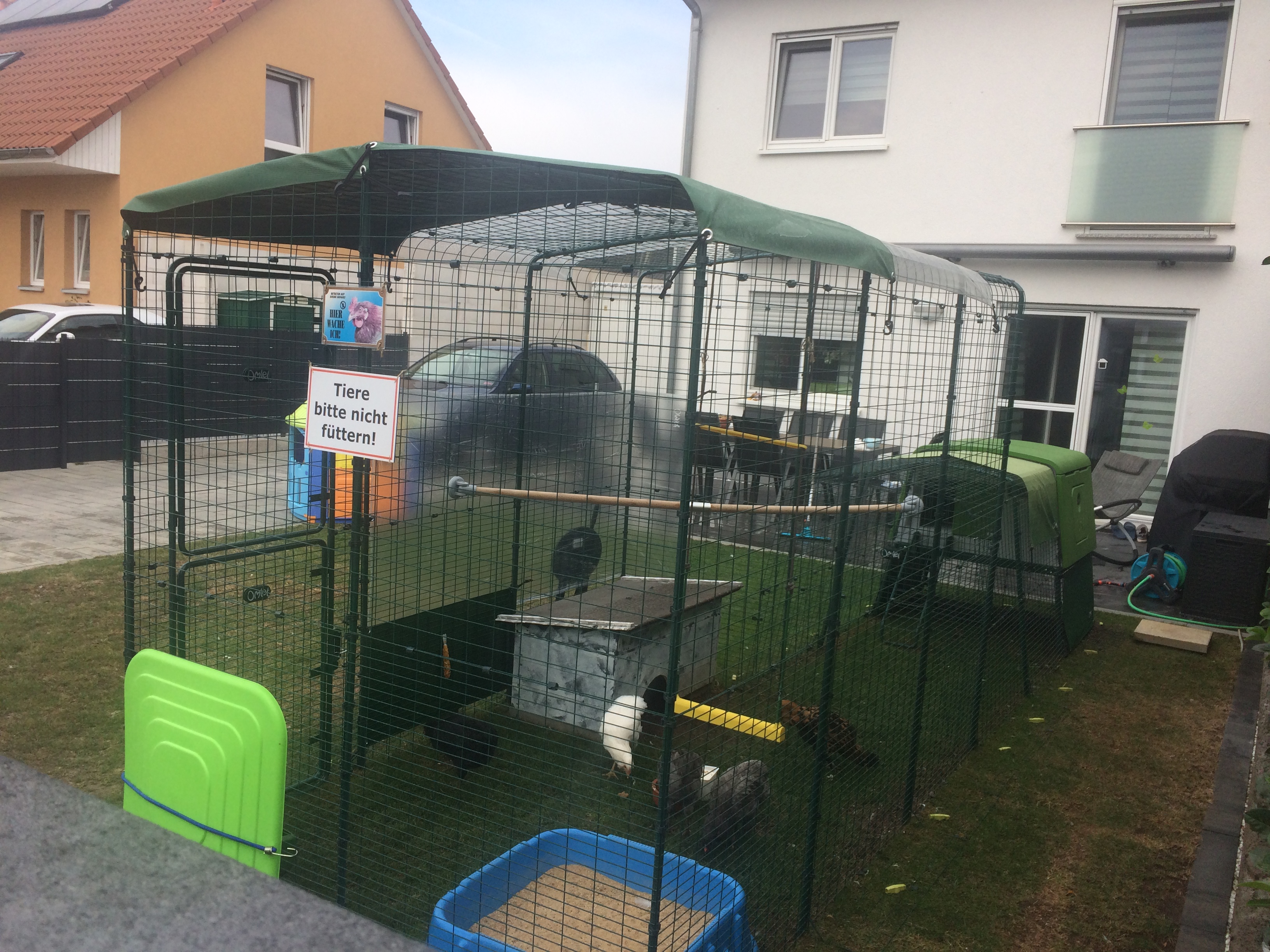 Walk in Chicken Run | Large Outdoor Chicken Enclosure