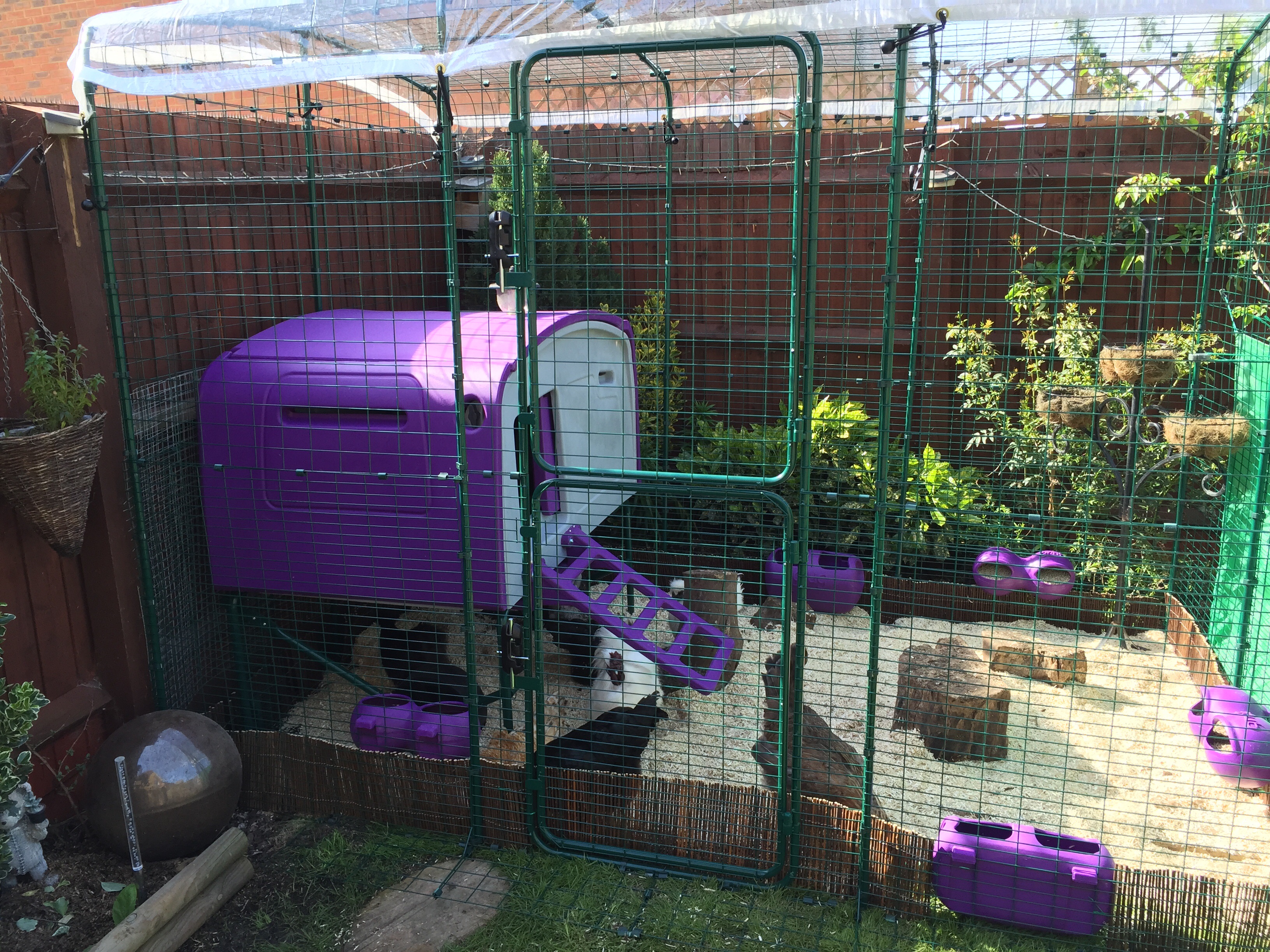 Walk in Chicken Run Large Outdoor Chicken Enclosure