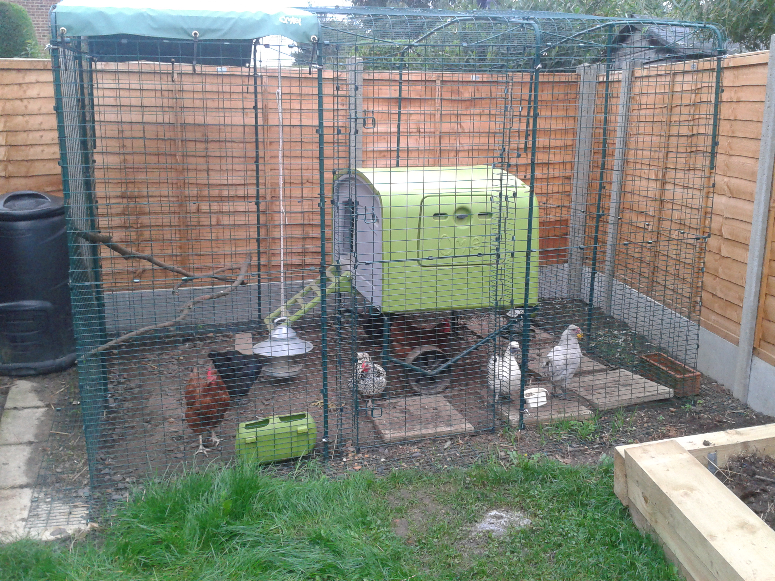 Walk In Chicken Run Extensions Chicken Coops and Pet Chicken
