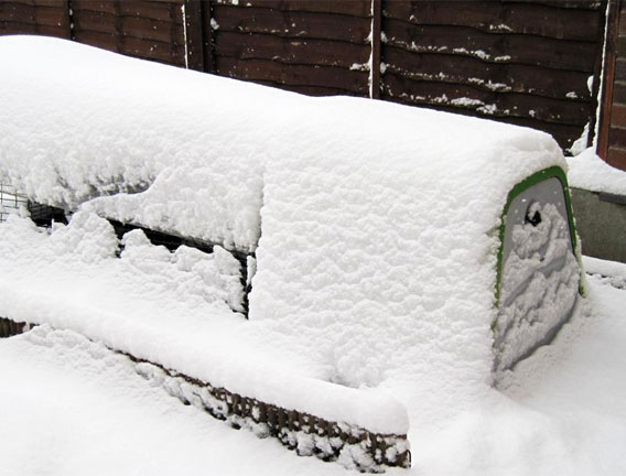 The warm and insulated Eglu Go chicken coop covered in winter snow.