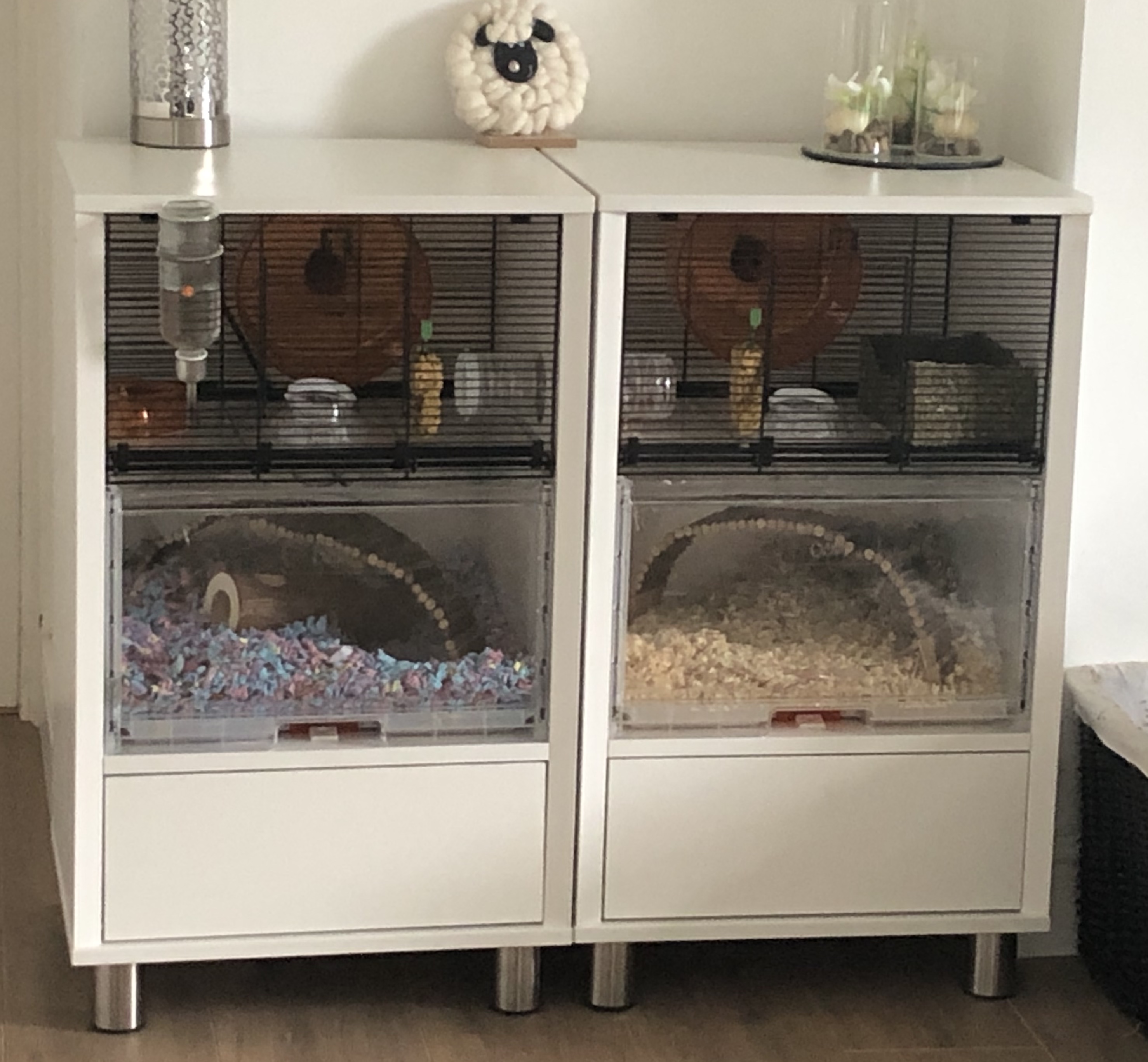 Reviews for Qute Hamster Cage Hamsters & Gerbils Omlet