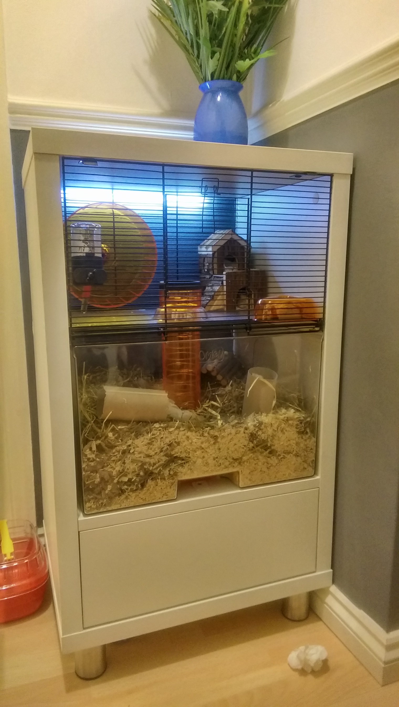 Qute Hamster and Gerbil Cage Hamsters and Gerbils Omlet