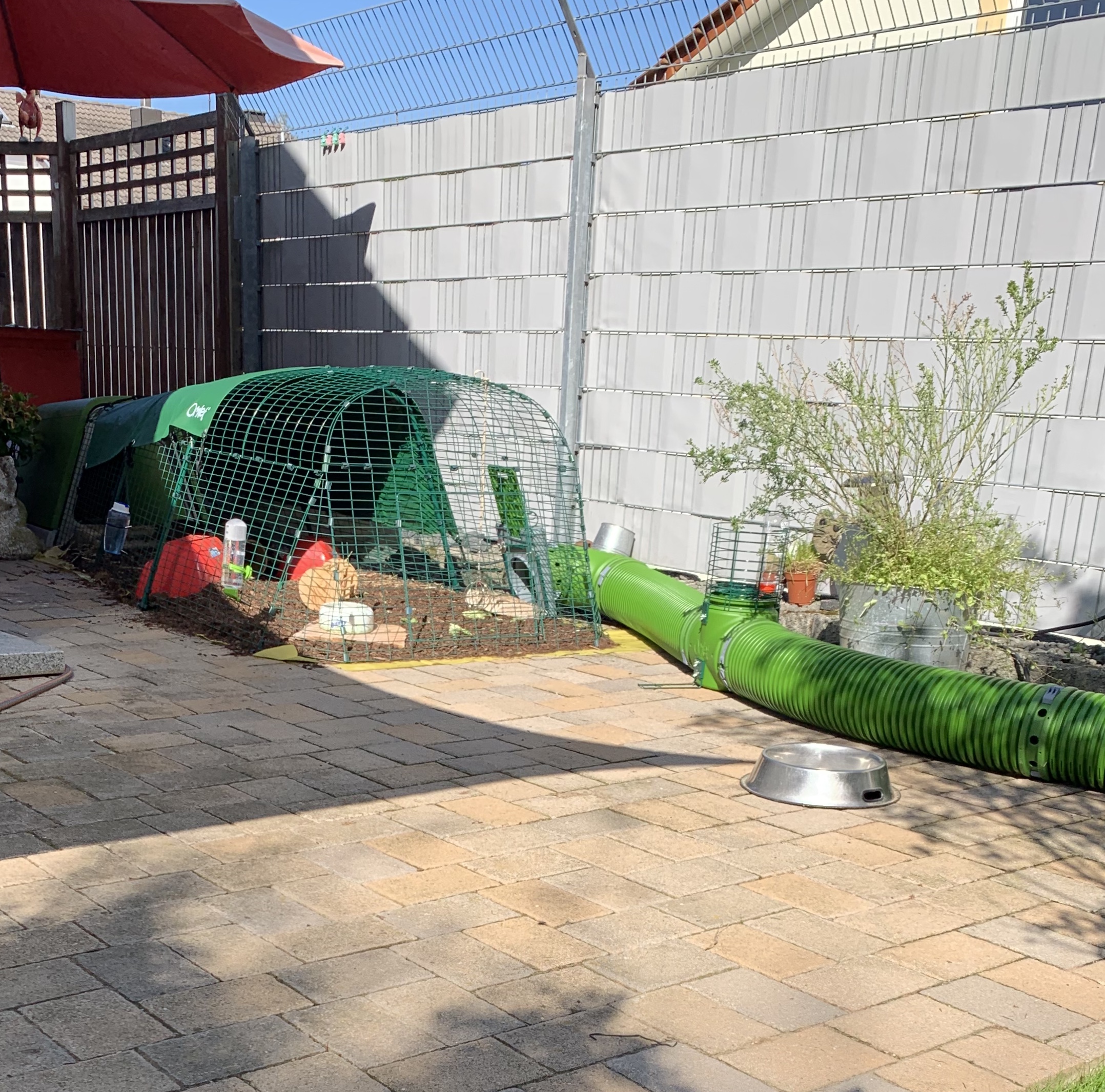 Zippi Guinea Pig Tunnel System | Omlet