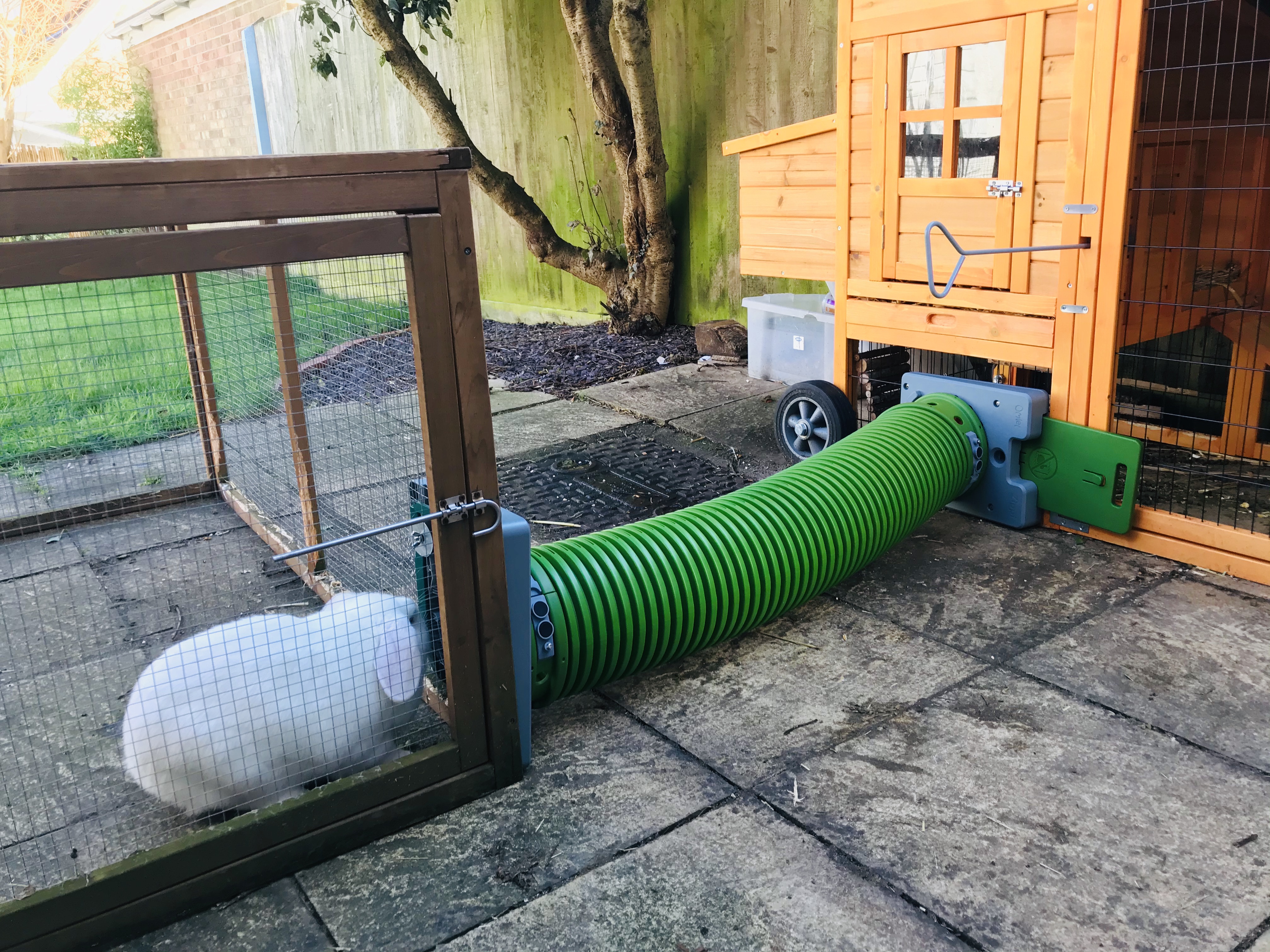 Zippi Guinea Pig Tunnel System | Omlet
